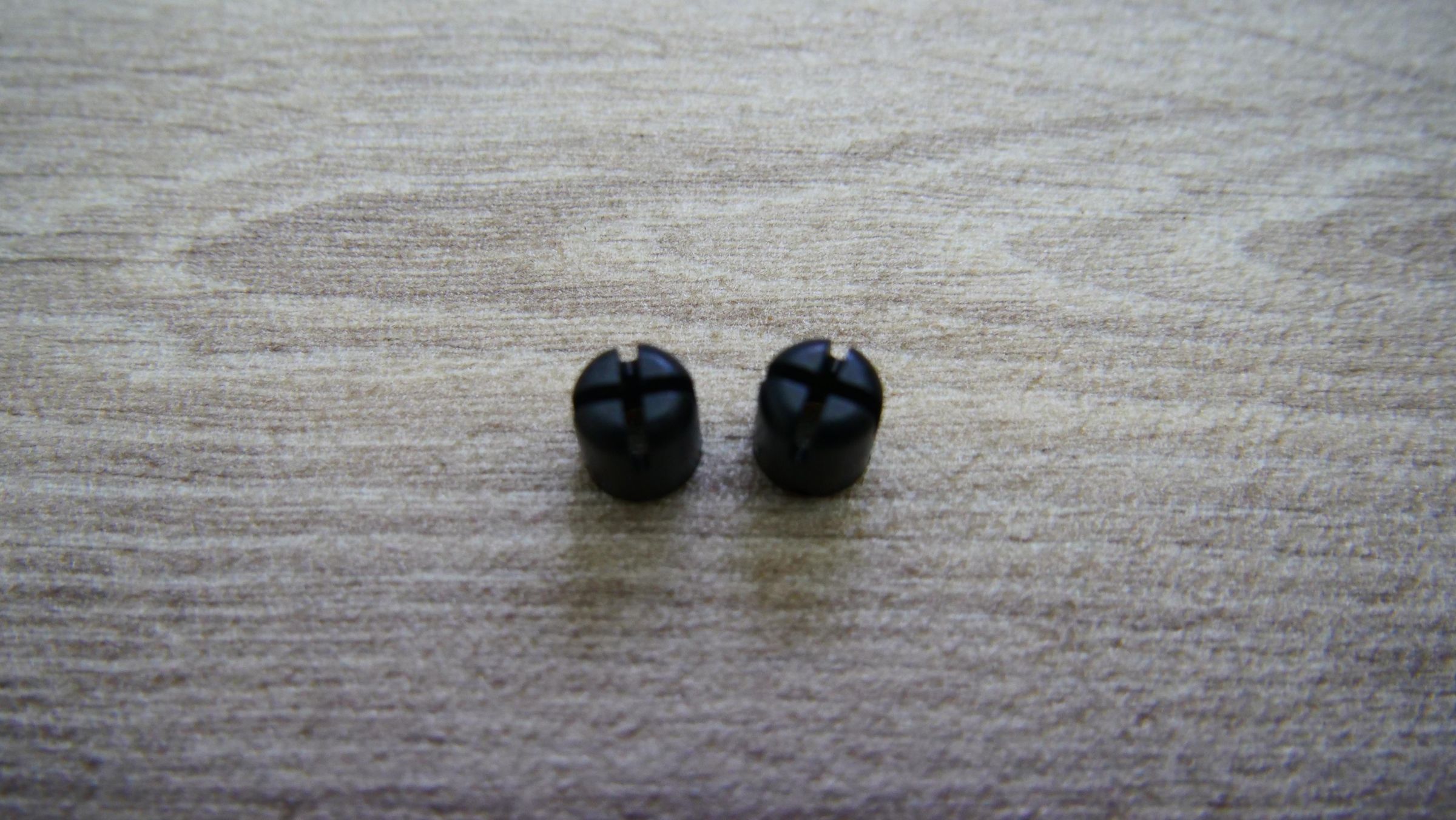 P1011785.JPG