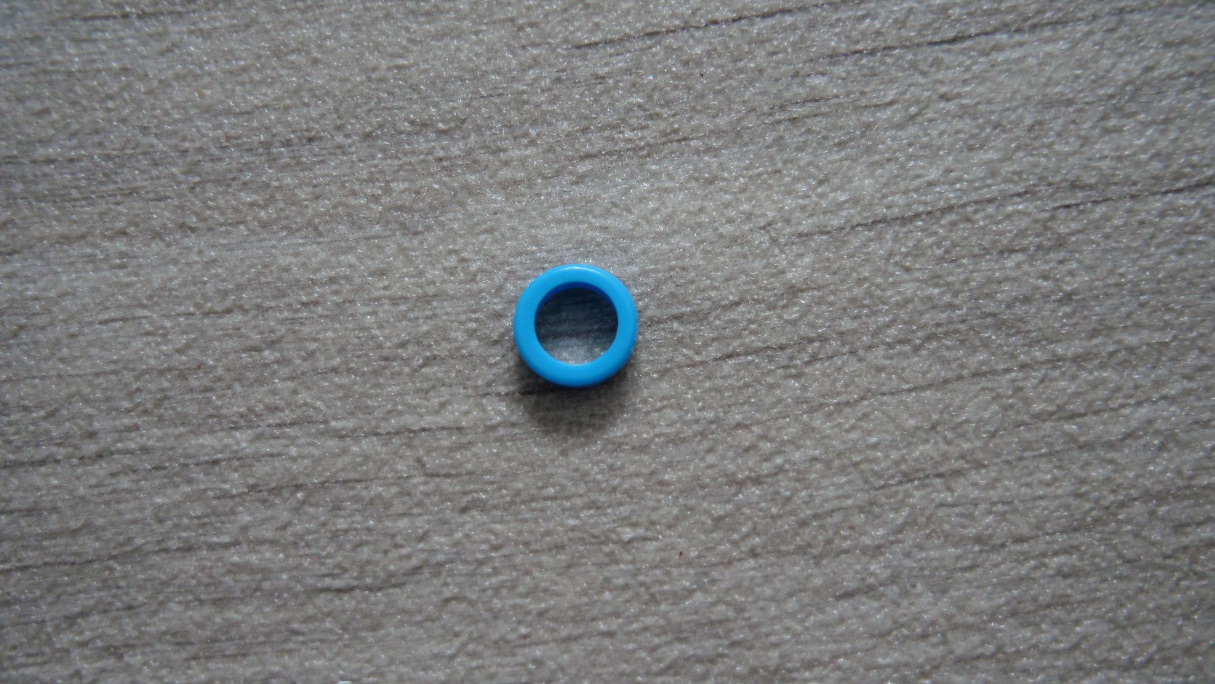 P1011956.JPG
