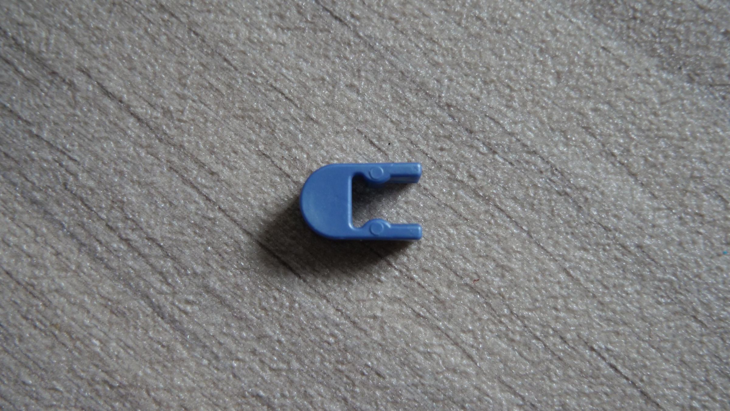 P1011983.JPG