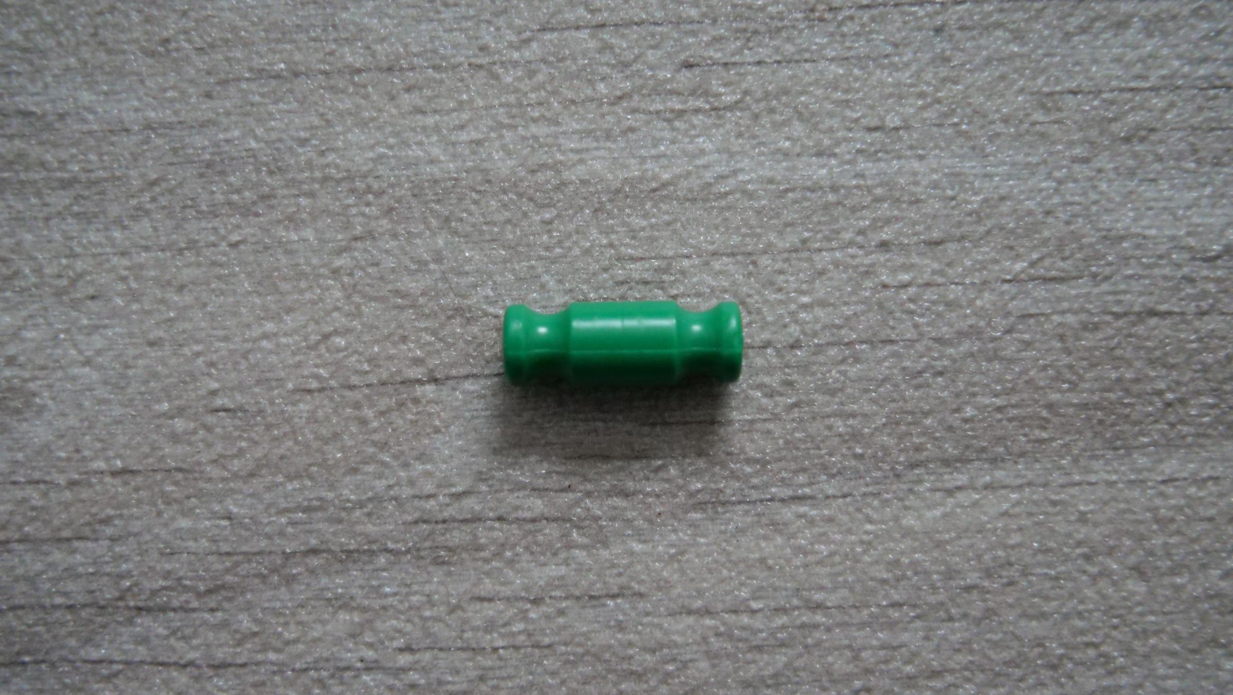 P1011989.JPG