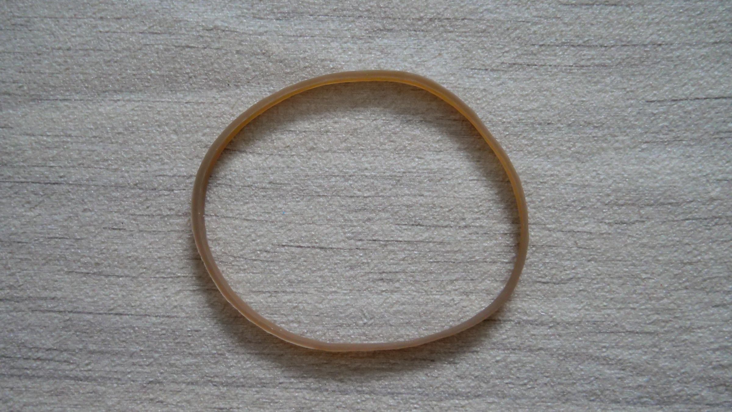P1011991.JPG