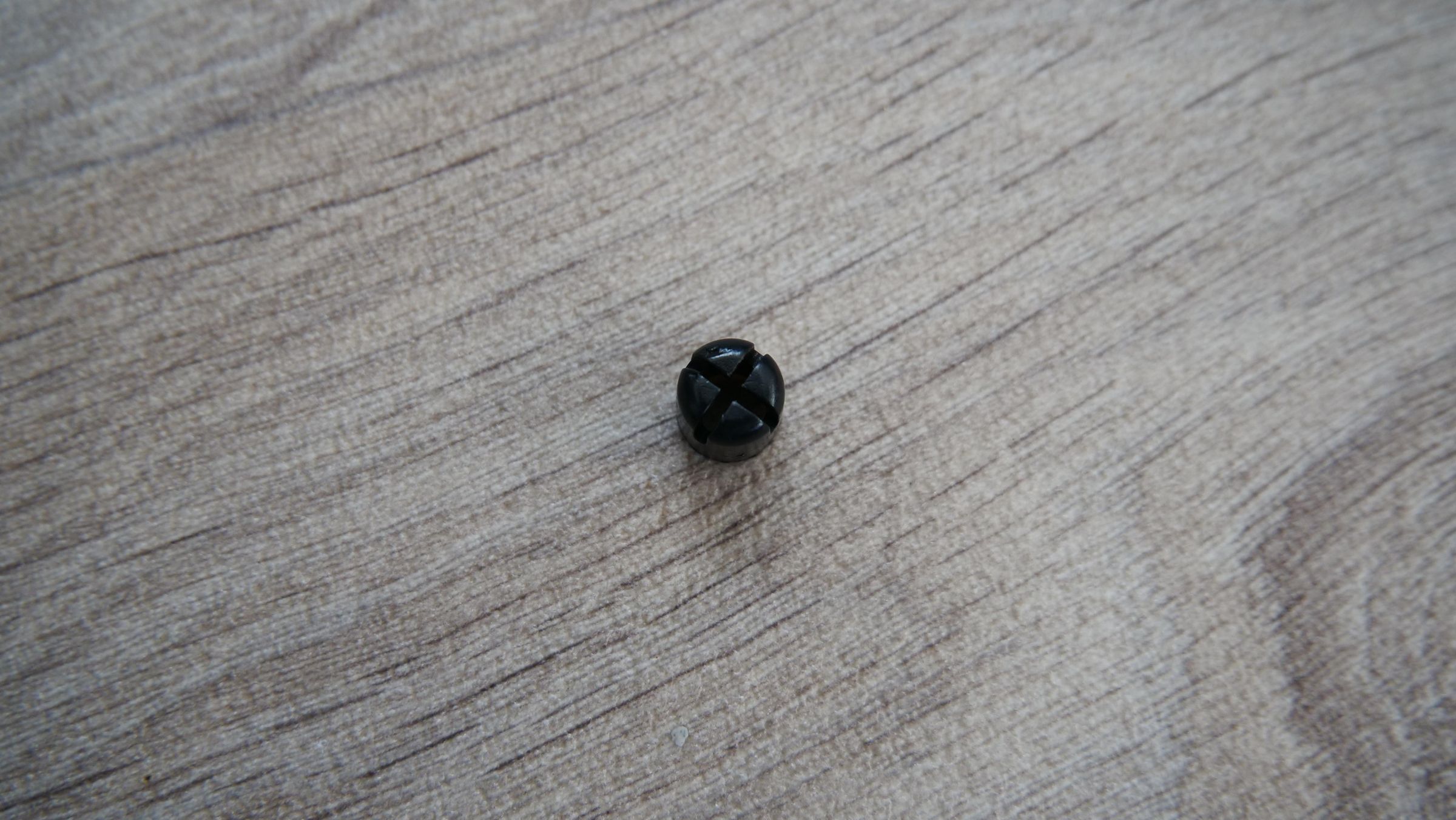 P1022145.JPG