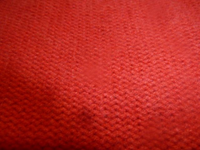 P1040703.JPG
