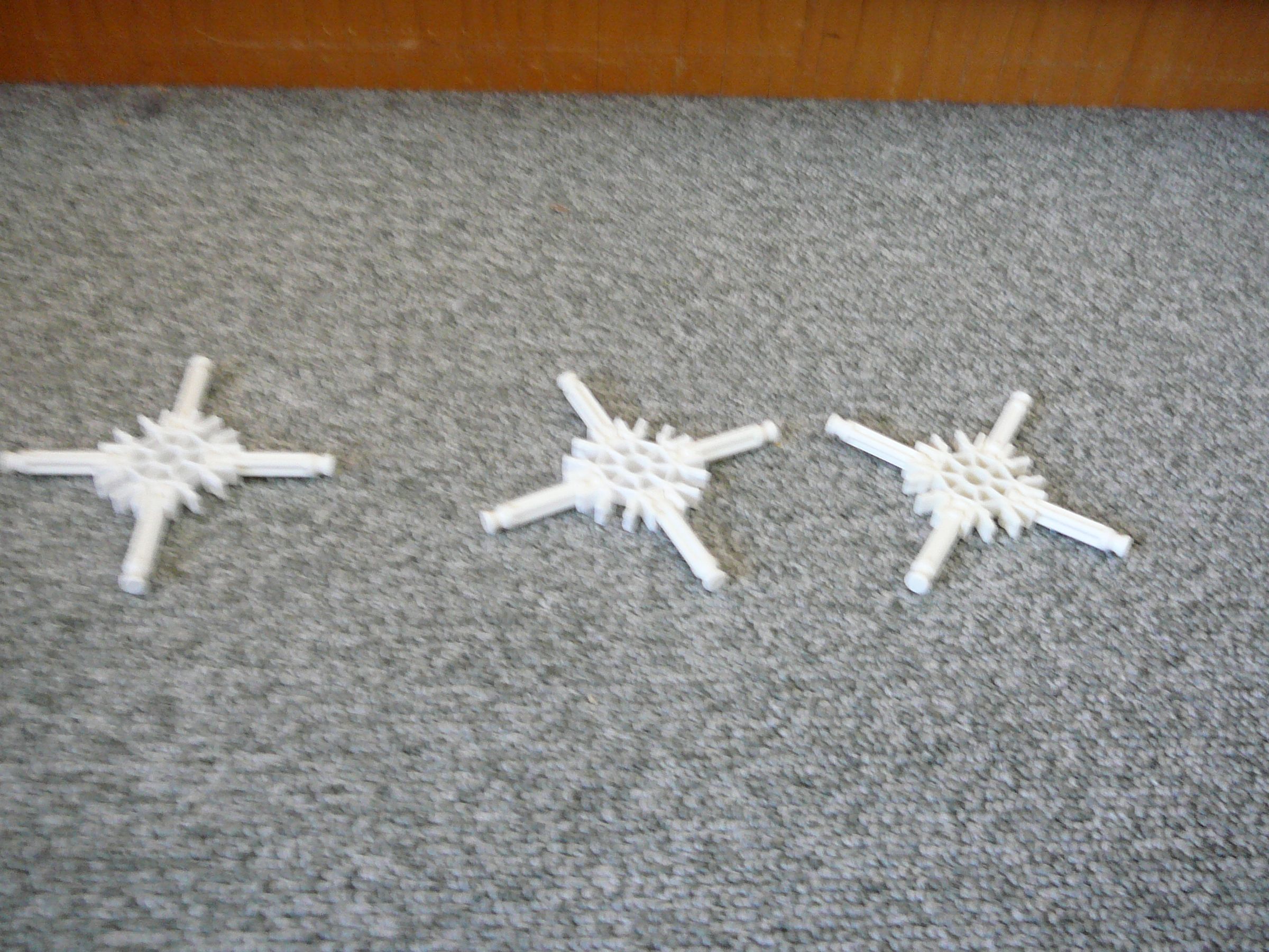 P1060065.JPG