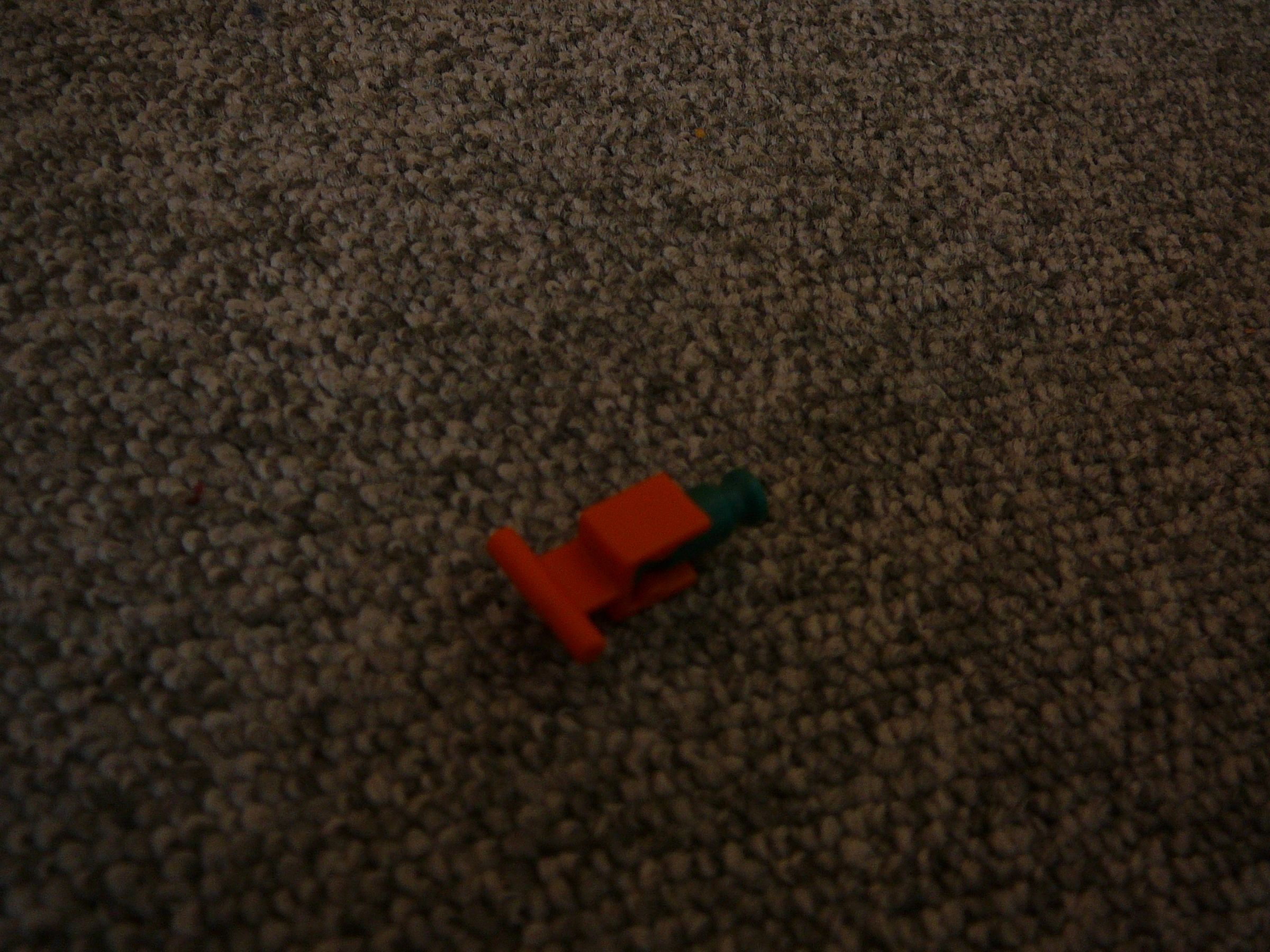 P1060145.JPG