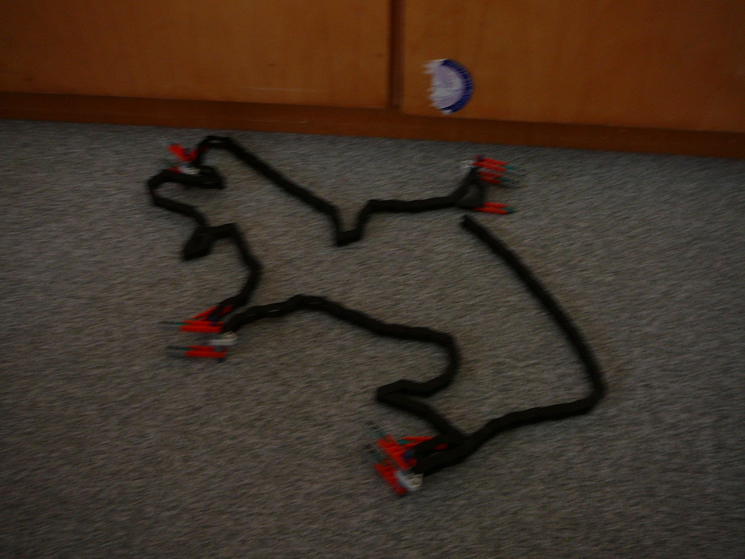 P1060177.JPG