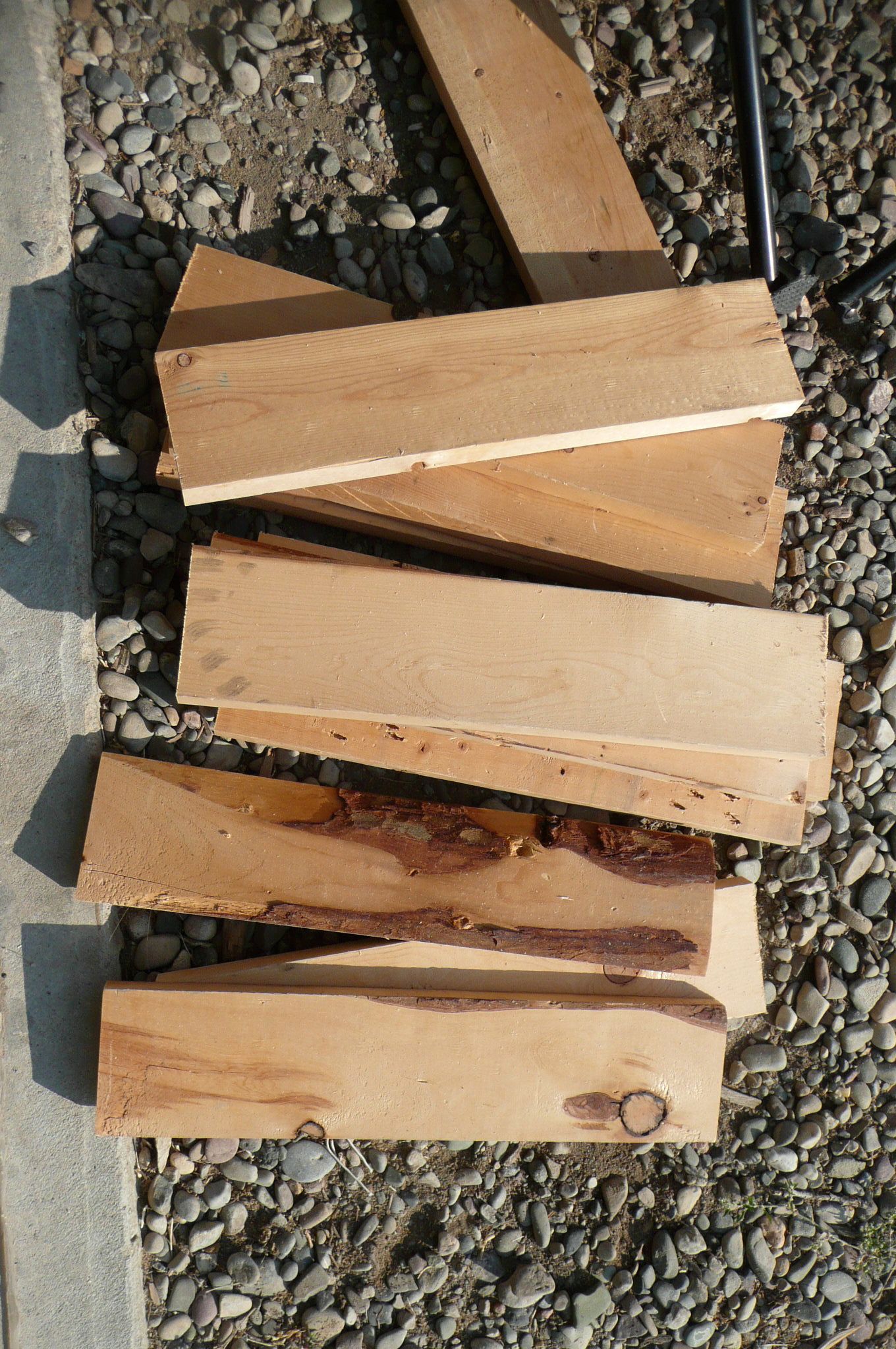 P1090557.jpg