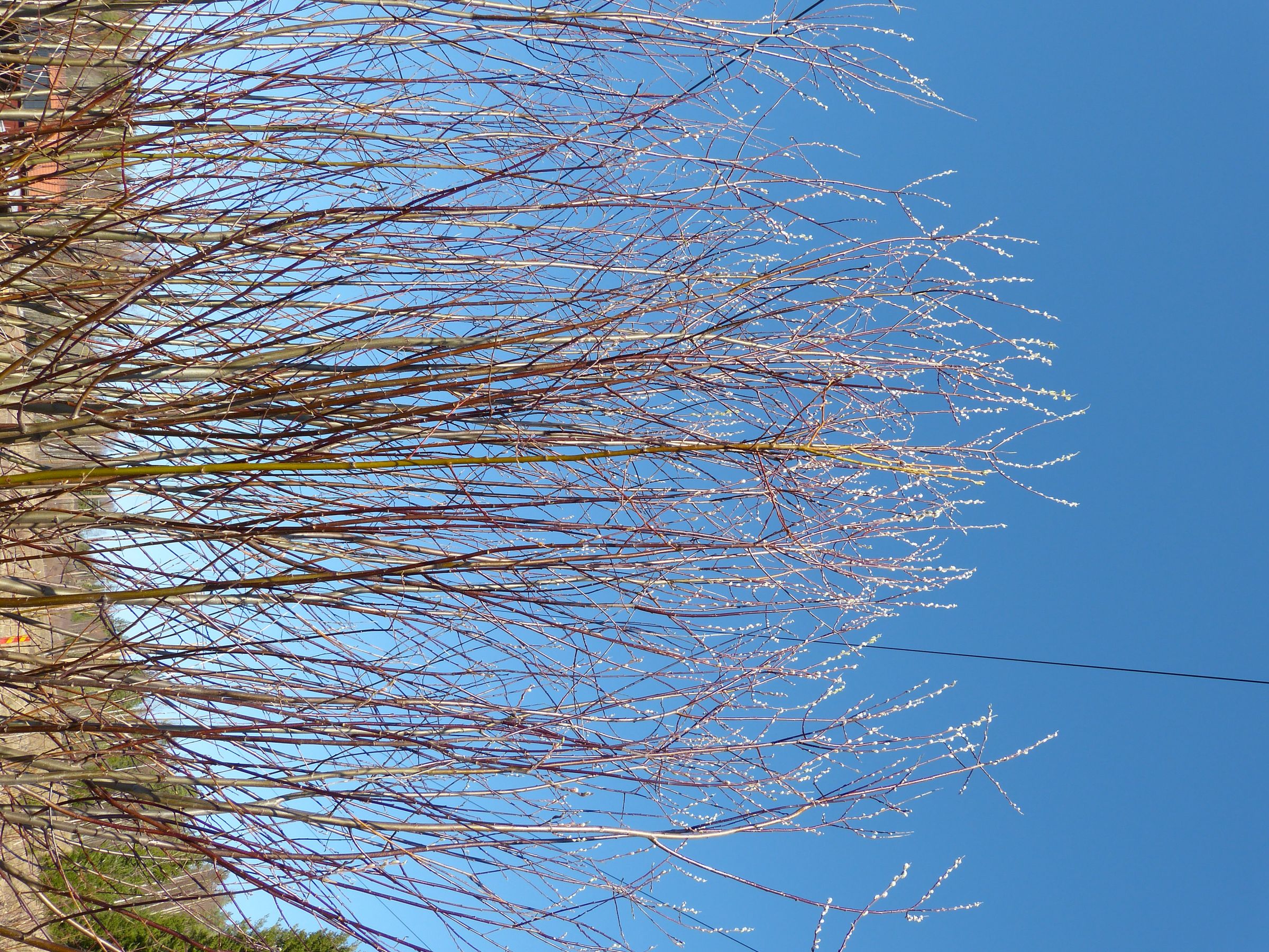 P1150881.JPG
