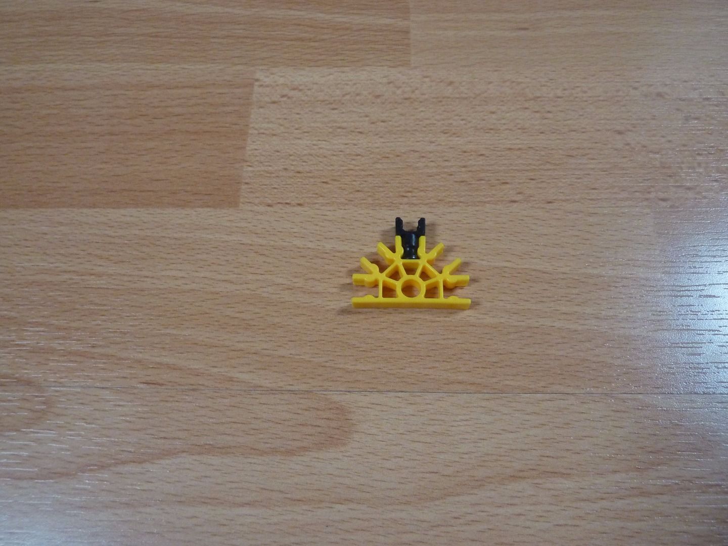 P1200619.JPG