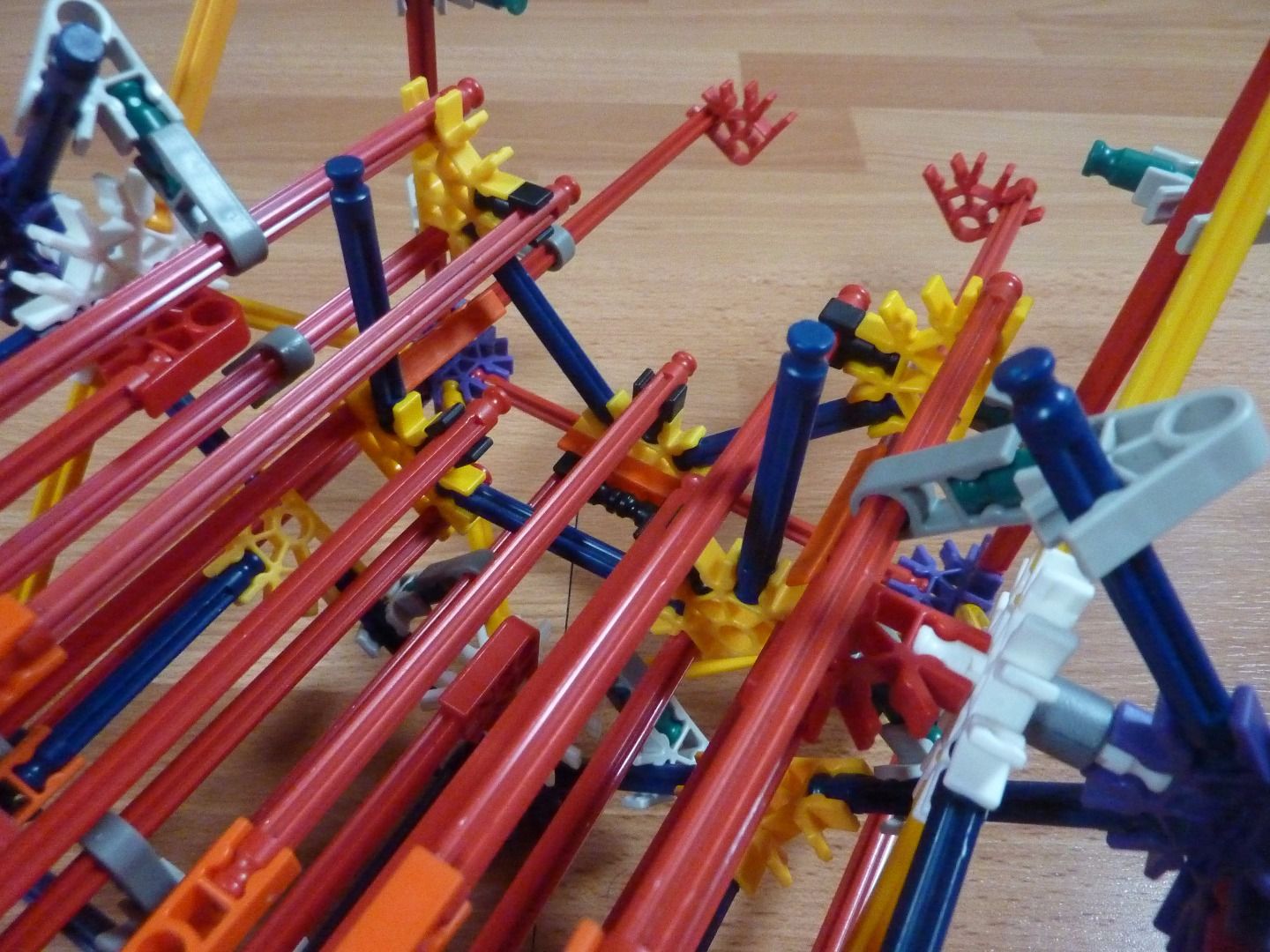 P1200770.JPG