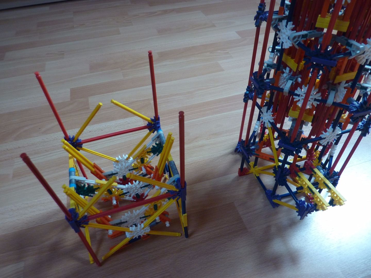 P1210002.JPG