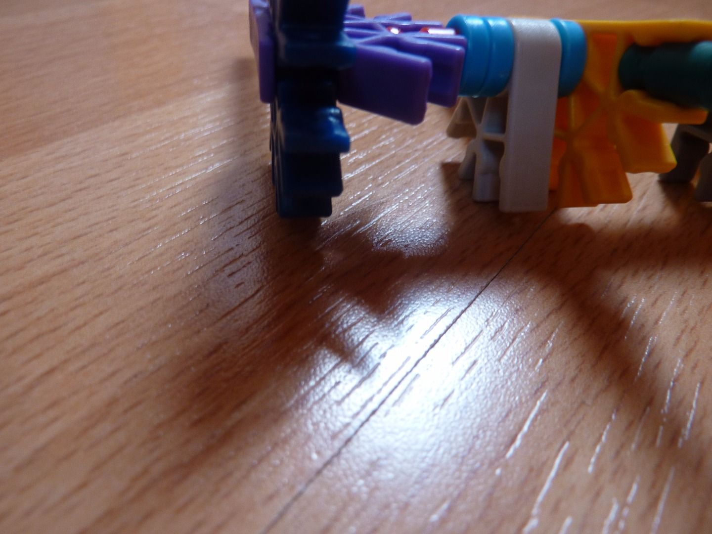 P1210014.JPG