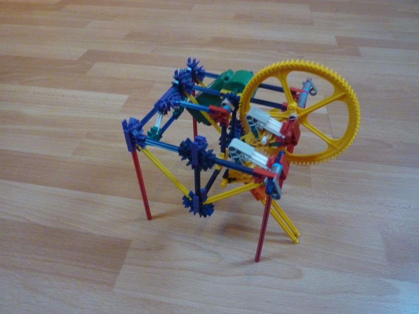 P1210081.JPG