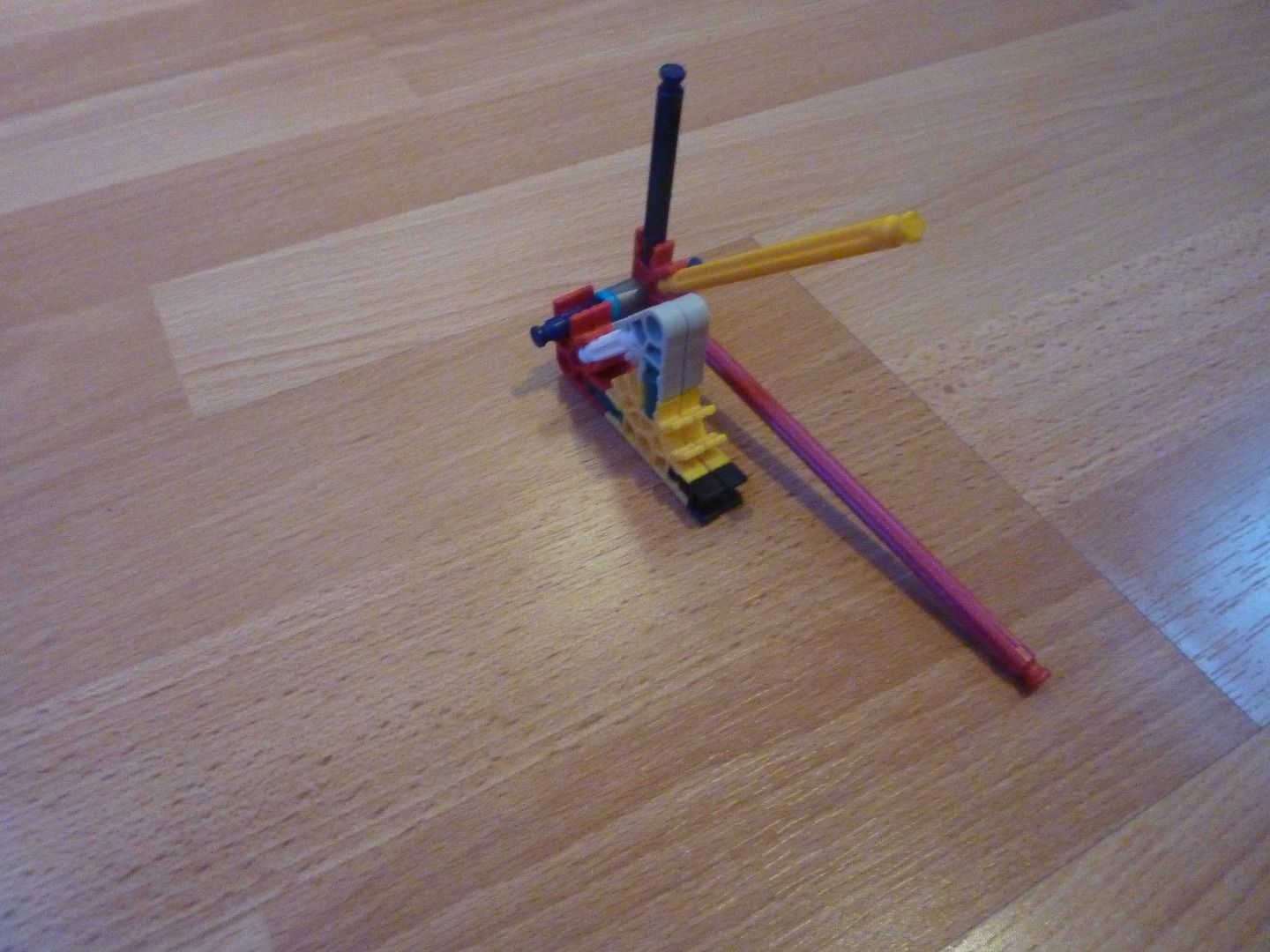 P1210107.JPG
