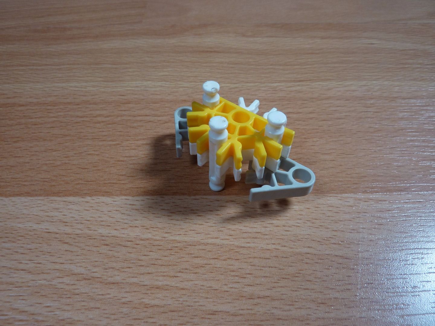 P1210221.JPG