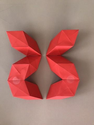 P20.jpg