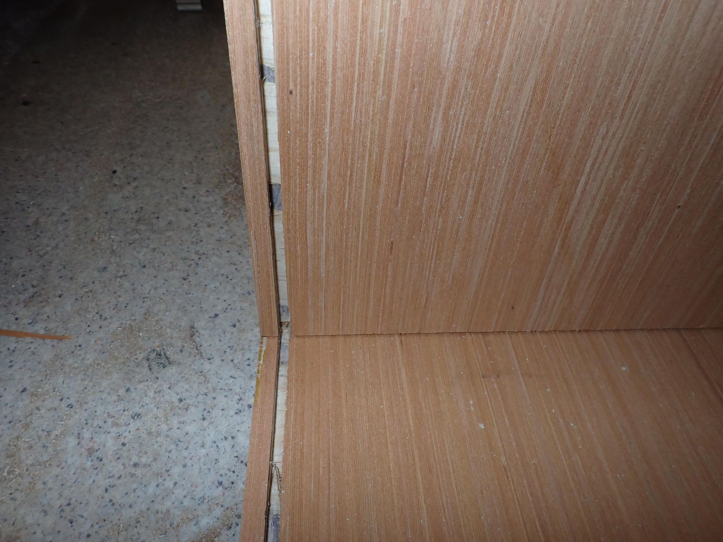 P2030163.JPG