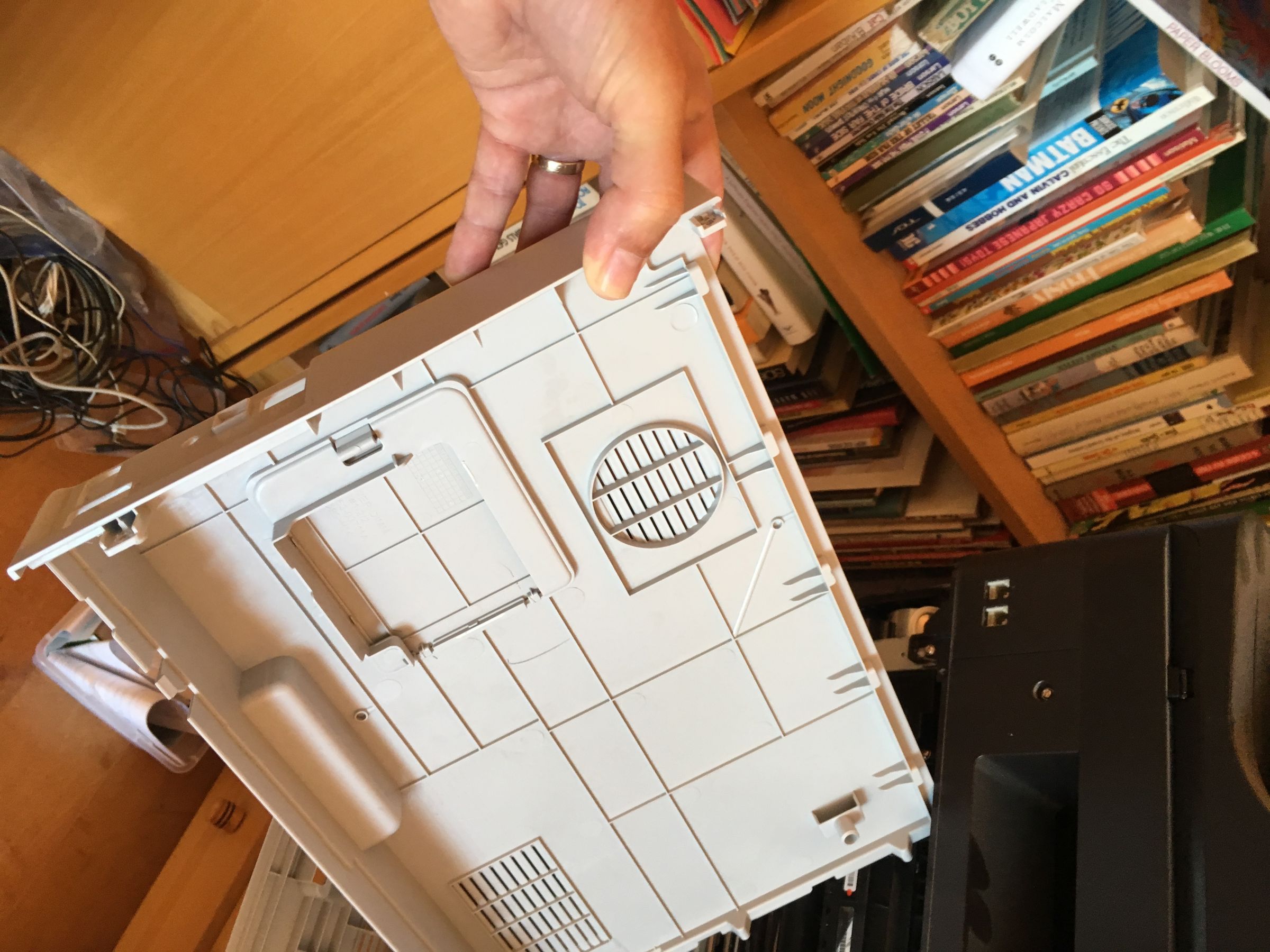 P5.JPG