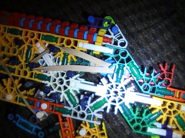 PIC_0549.JPG
