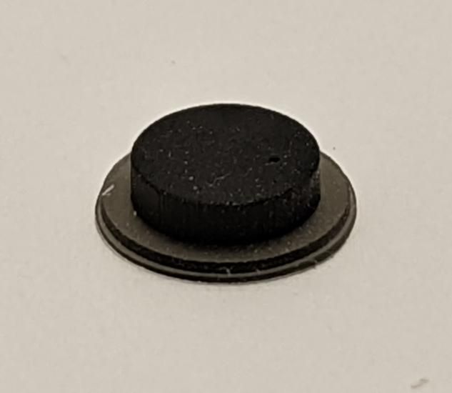 PXL_20220722_154105590 - Copy.jpg