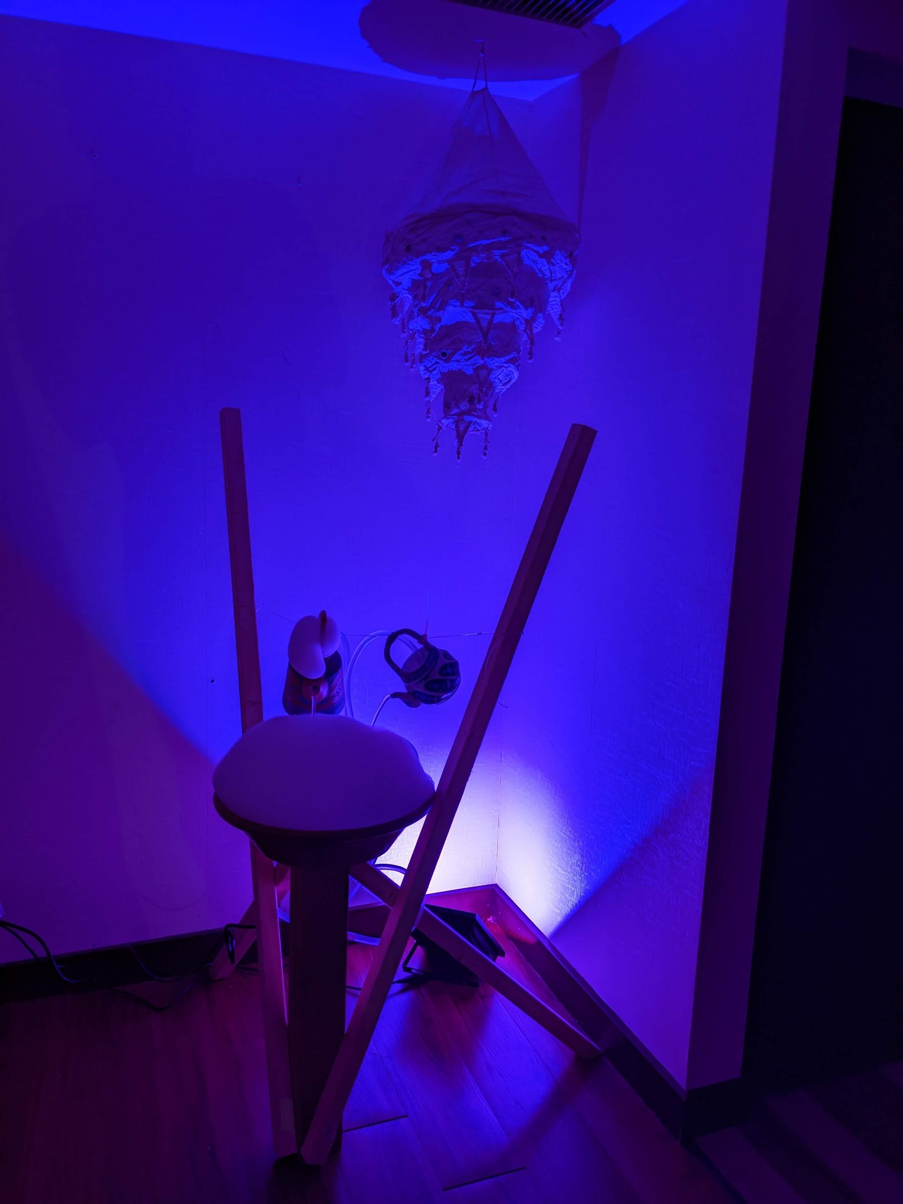 PXL_20221112_032021587.jpg