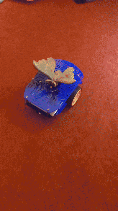 PXL_20250509_204231381.gif