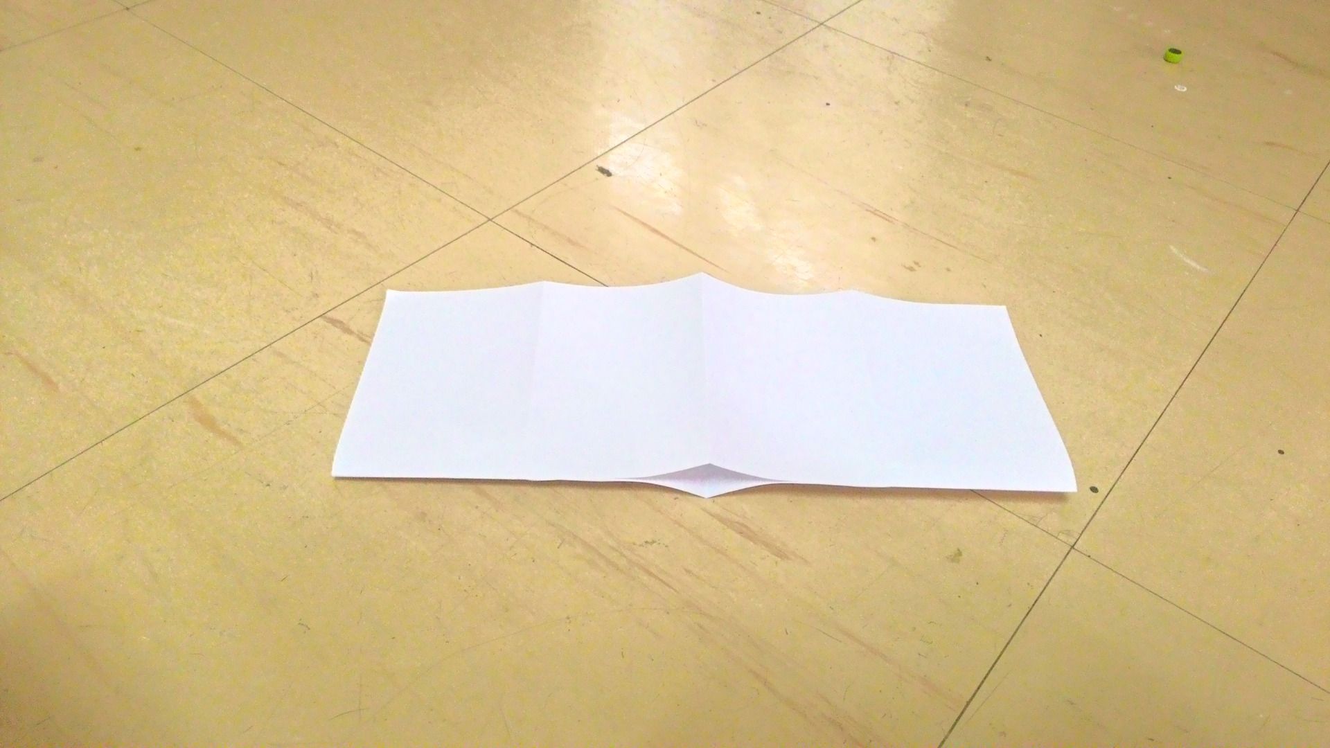 P_20151205_120544_HDR.jpg