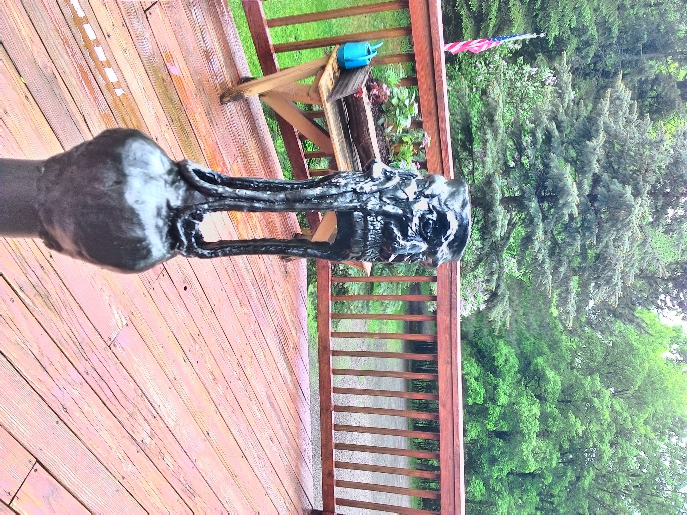 P_20160601_165554_HDR.jpg