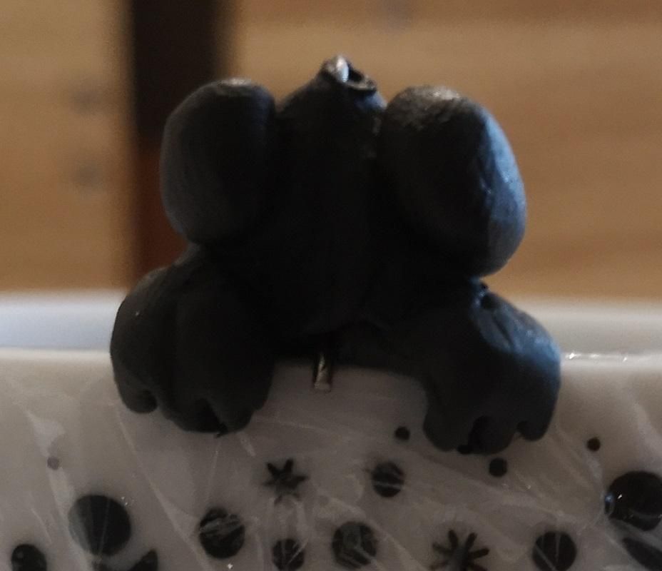 Panda (8).jpg