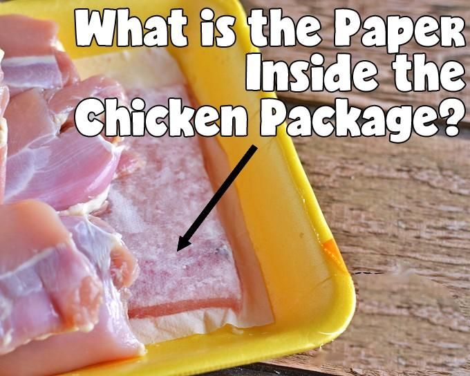 PaperFromChicken.jpg