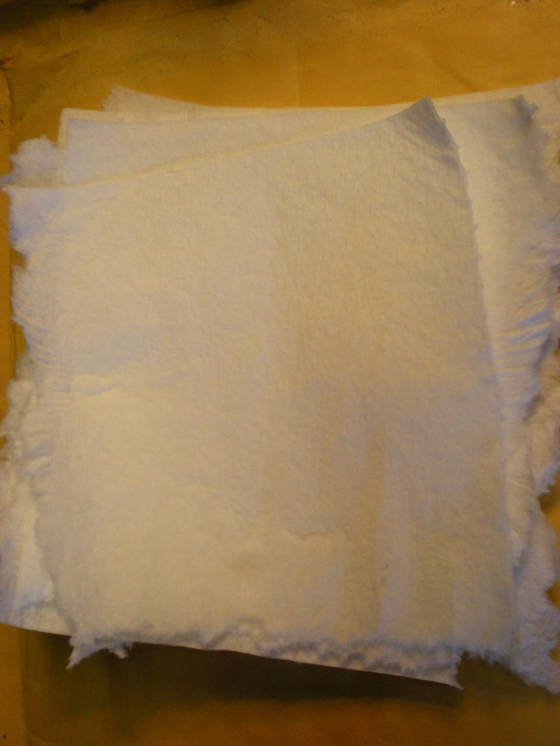 PaperTowels.jpg