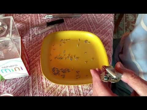 Physics Sensor Board Hacked From a Sphero Mini