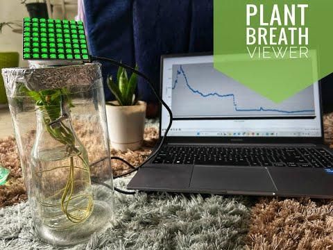 PhytoPulse : Visualising Photosynthesis Process