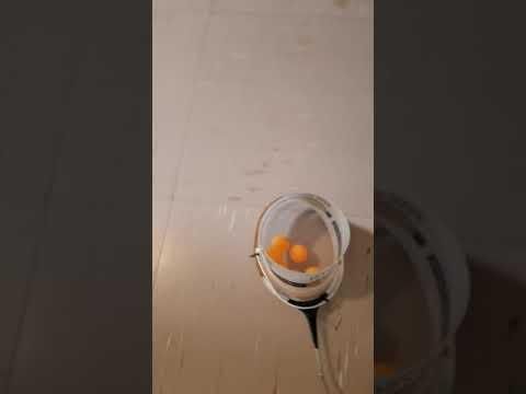 Ping Pong Ball Collector