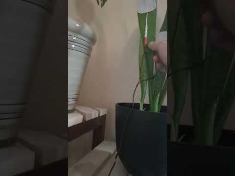 Plant audio maker