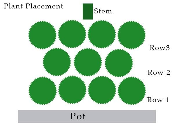 PlantPlace.jpg