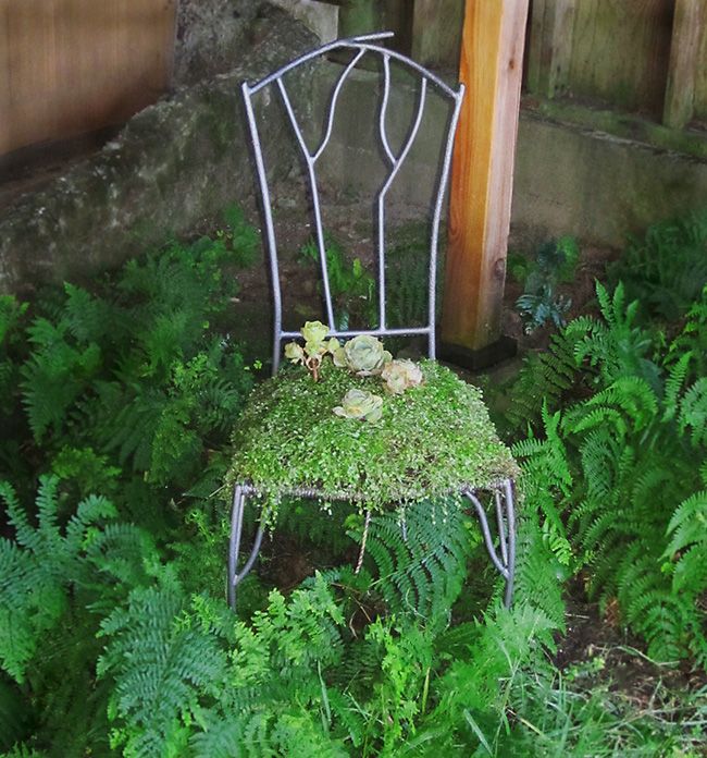 Planted Chair.jpg