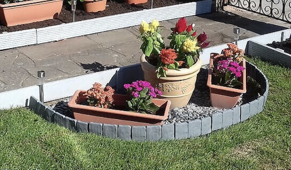 Plants 1.png
