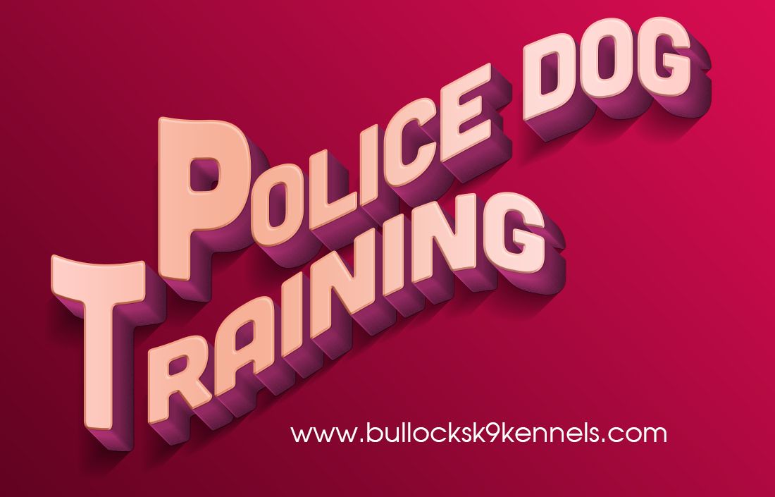 Police Dog Training.jpg