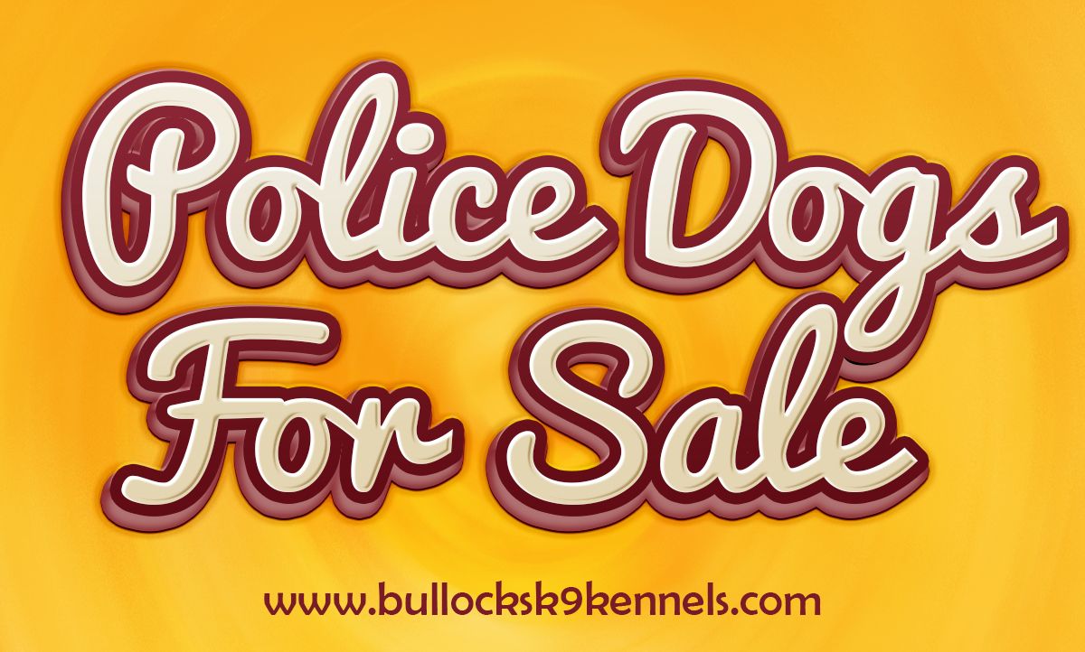Police Dogs For Sale.jpg
