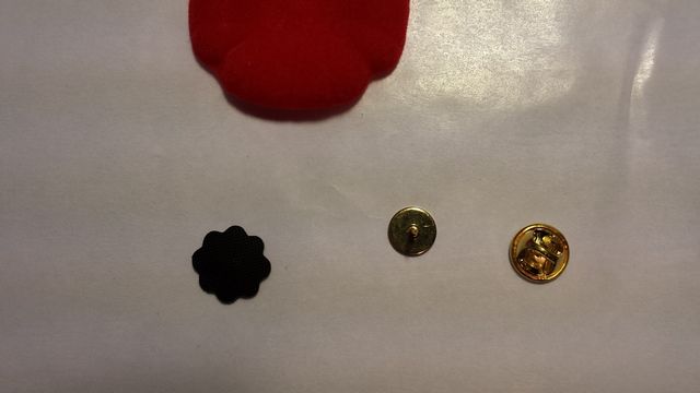Poppy Pin - Step 1.jpg