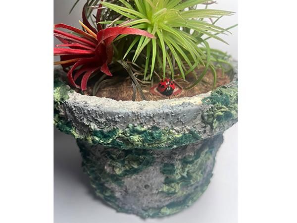 Pot.jpg