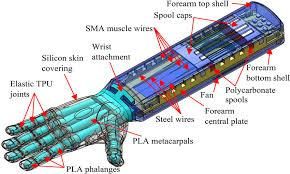 Prosthetic blueprint 1.jpeg