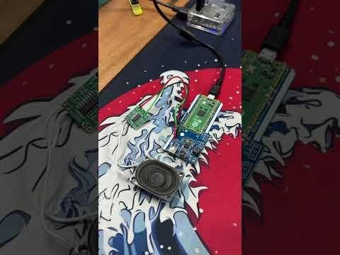 Raspberry Pi PICO PAM8403 Audio Demo
