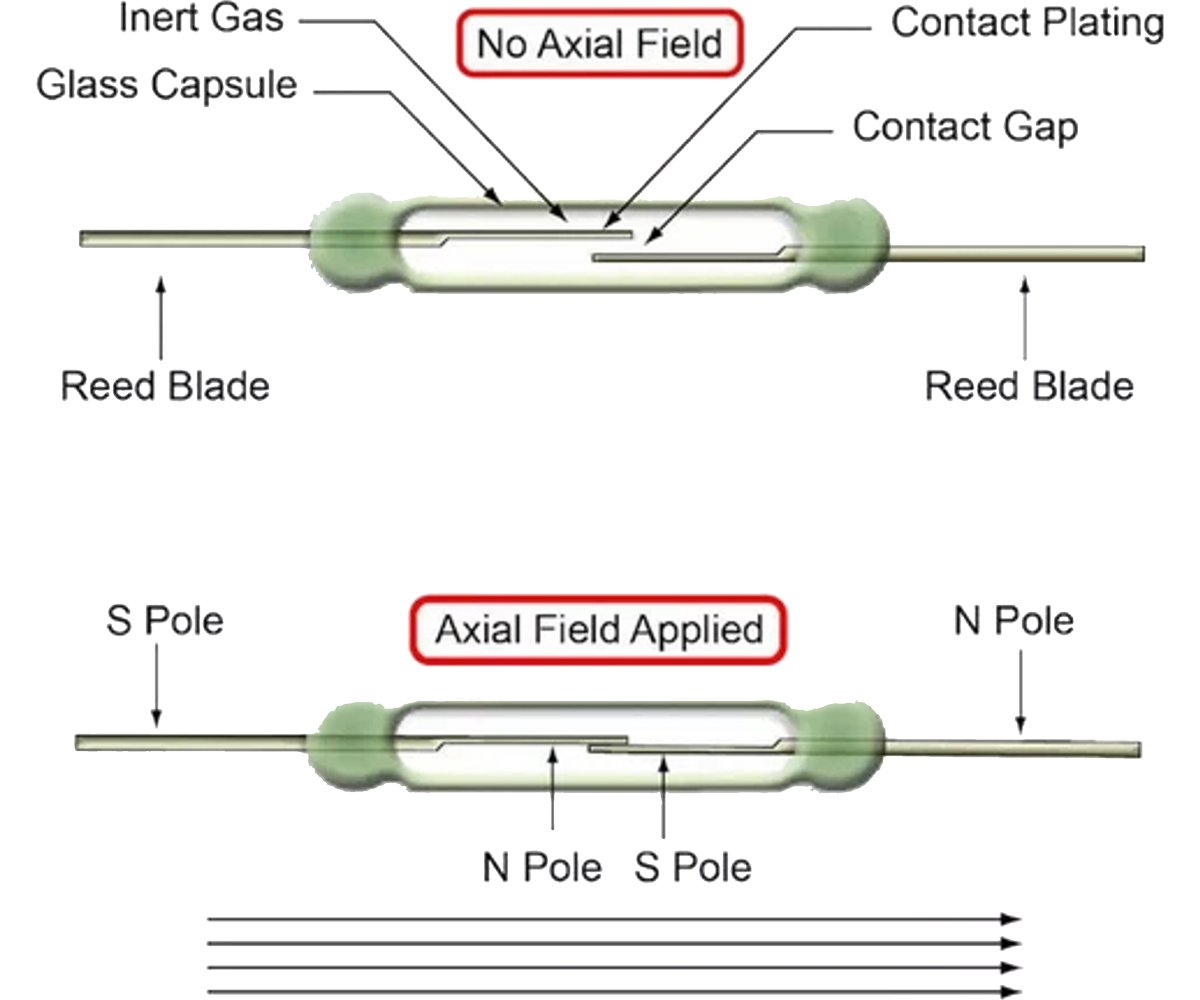 Reed Switch.png