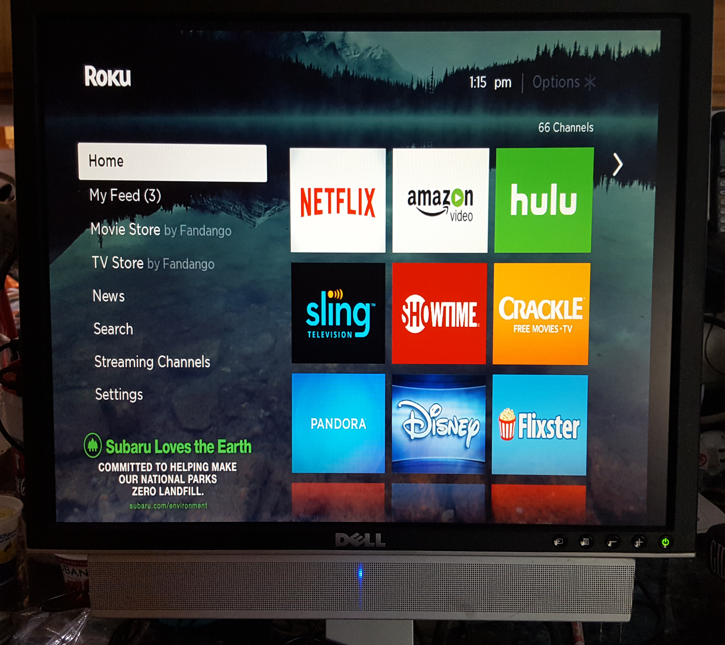 Roku on monitor.png