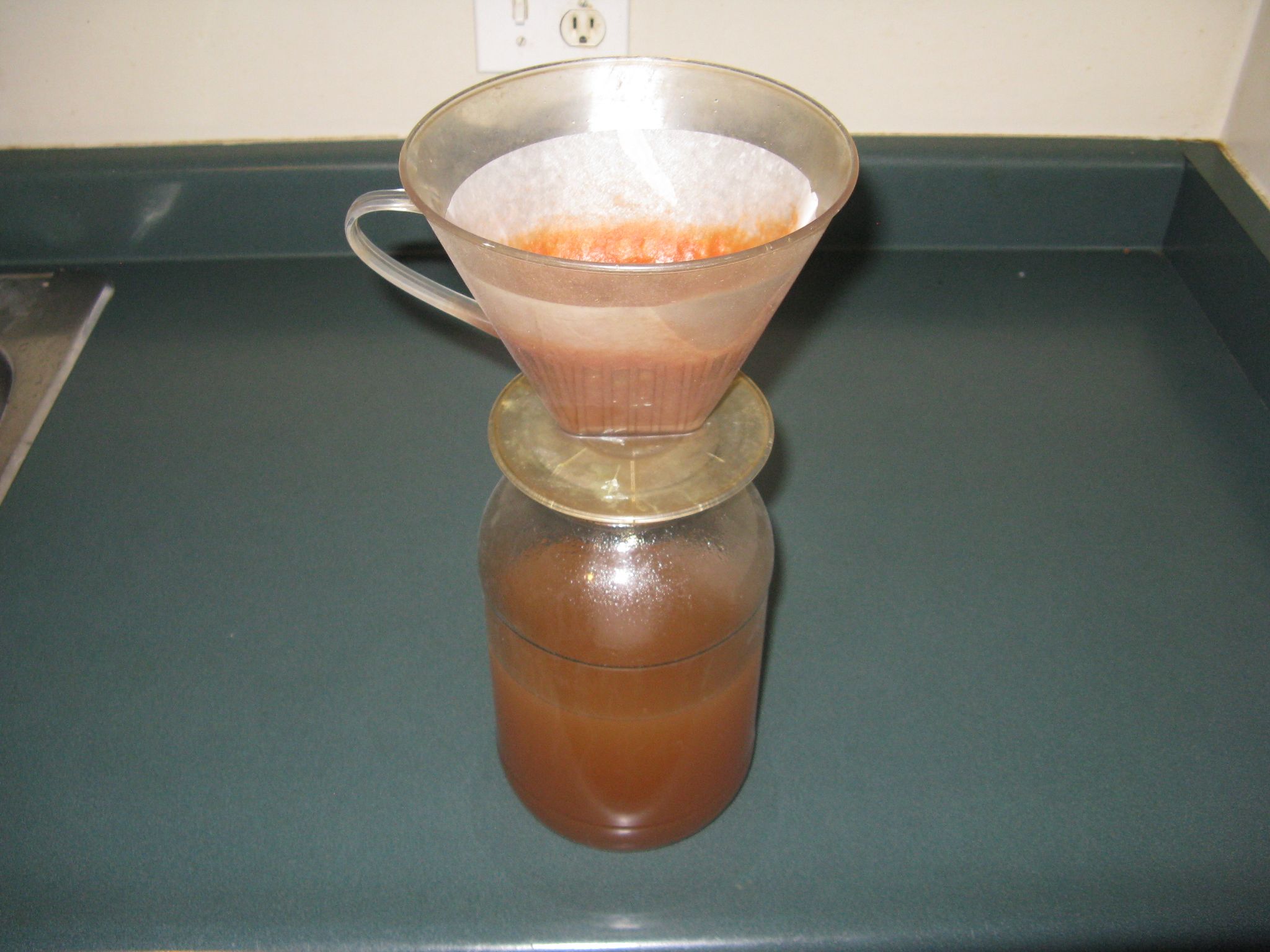 Rose Hip 18.JPG