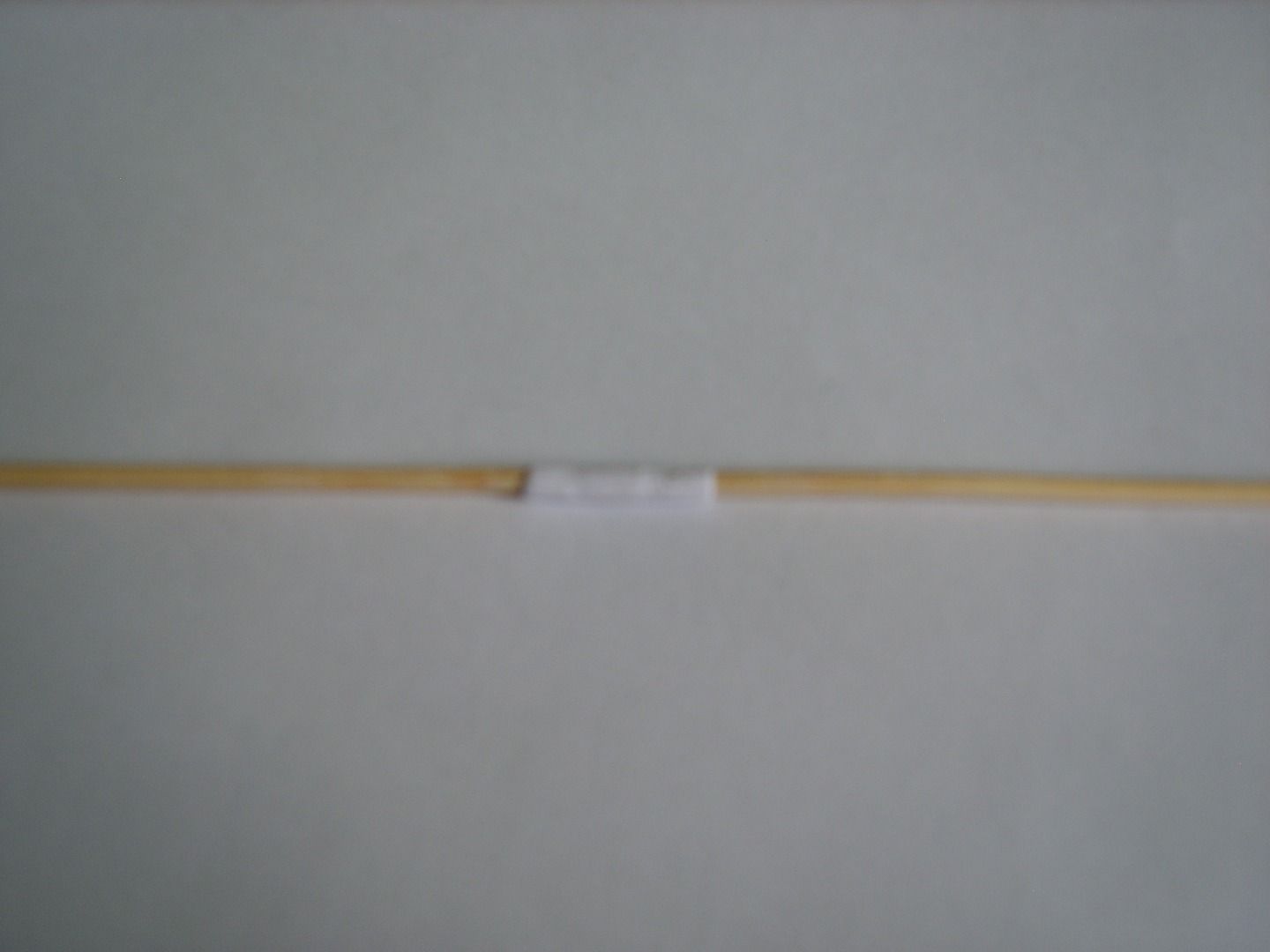 S8002208.JPG