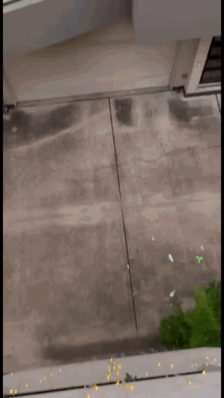 SamaraVSPaperBase-ezgif.com-resize.gif