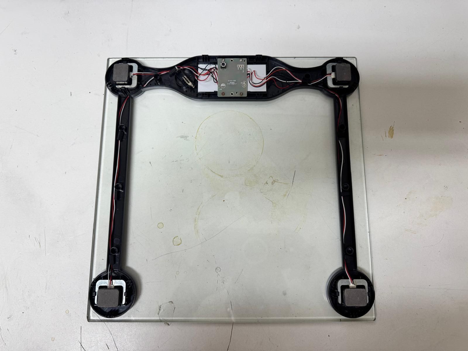 Scale_Open_Back.jpeg